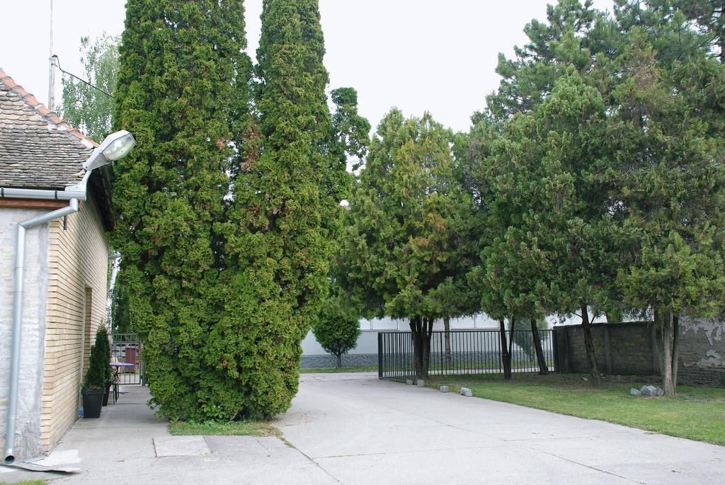 Bezdan Guesthouse Exterior foto